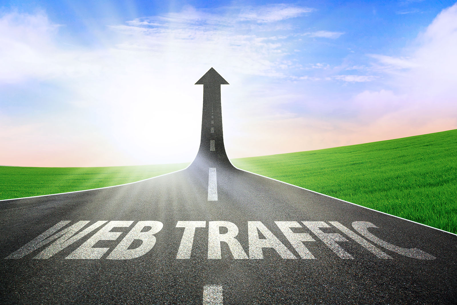 Website traffic for Las Cruces business